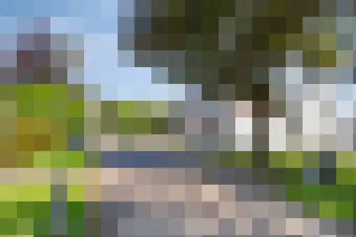Prinses Beatrixweg 6 Schalkhaar thumbnail 34