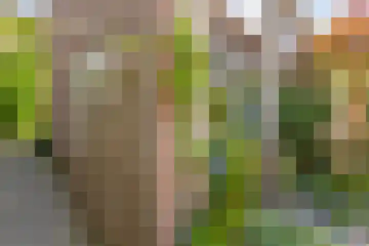 Prinses Beatrixweg 6 Schalkhaar thumbnail 7