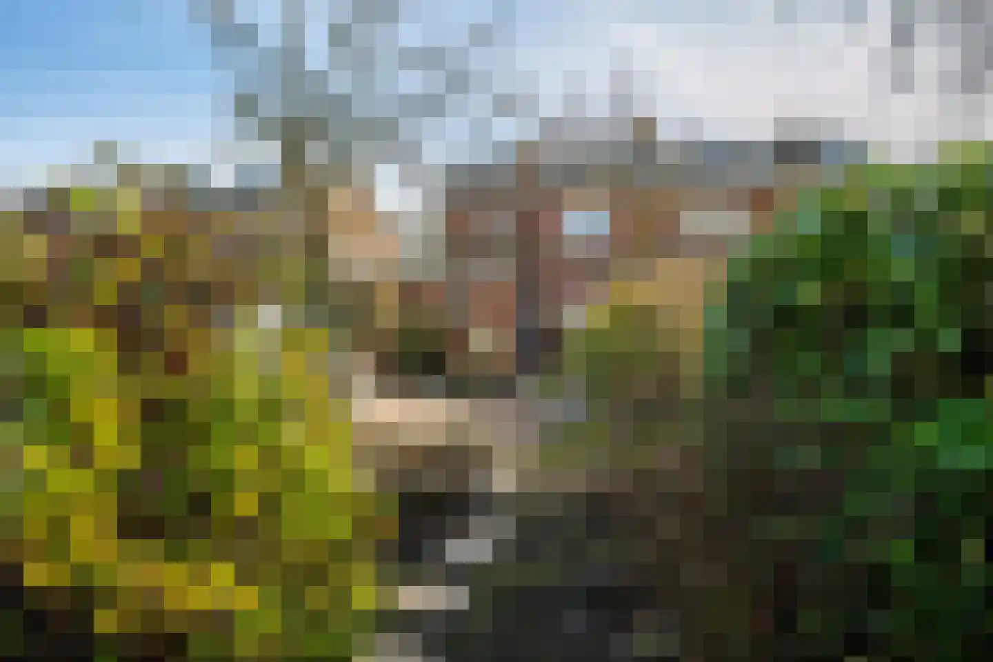 Prinses Beatrixweg 7 Grou thumbnail 33