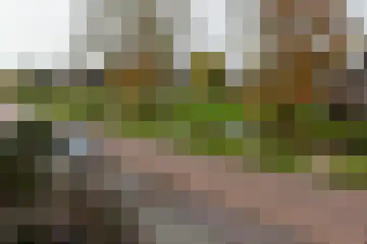 Prinses Beatrixweg 7 Kockengen thumbnail 21