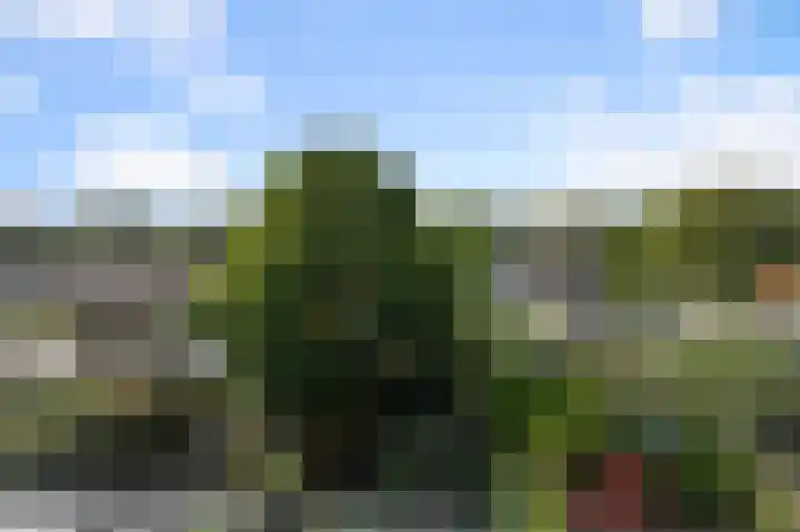 Prinses Christinalaan 101 Uithoorn thumbnail 32