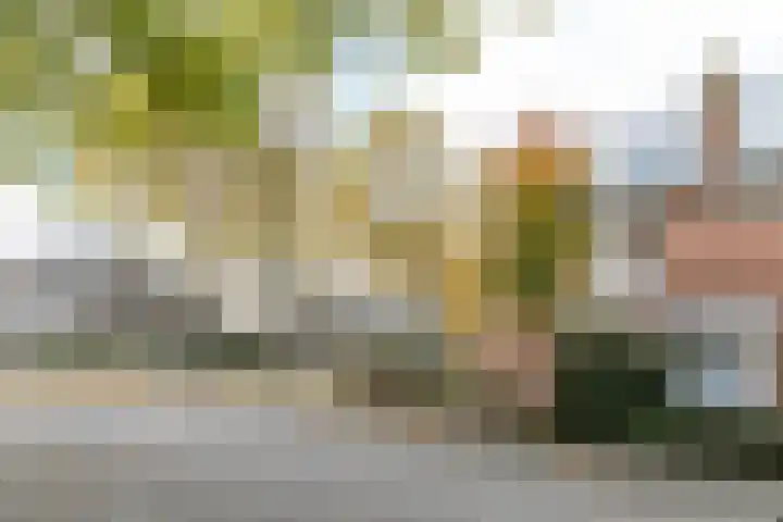 Prinses Christinalaan 14 Valkenburg thumbnail 28