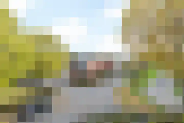 Prinses Christinalaan 14 Valkenburg thumbnail 29