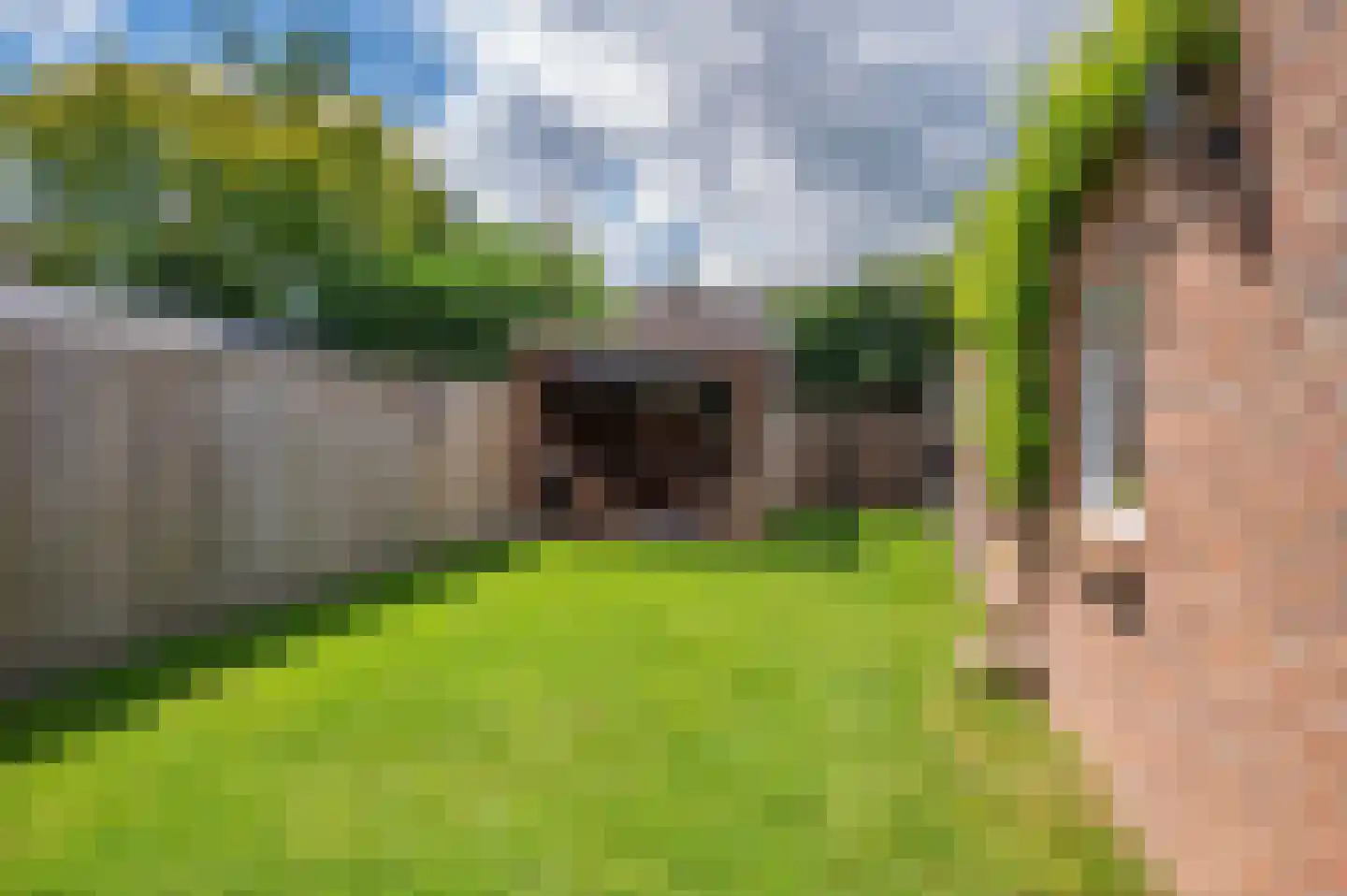 Prinses Christinalaan 7 Reuver thumbnail 39