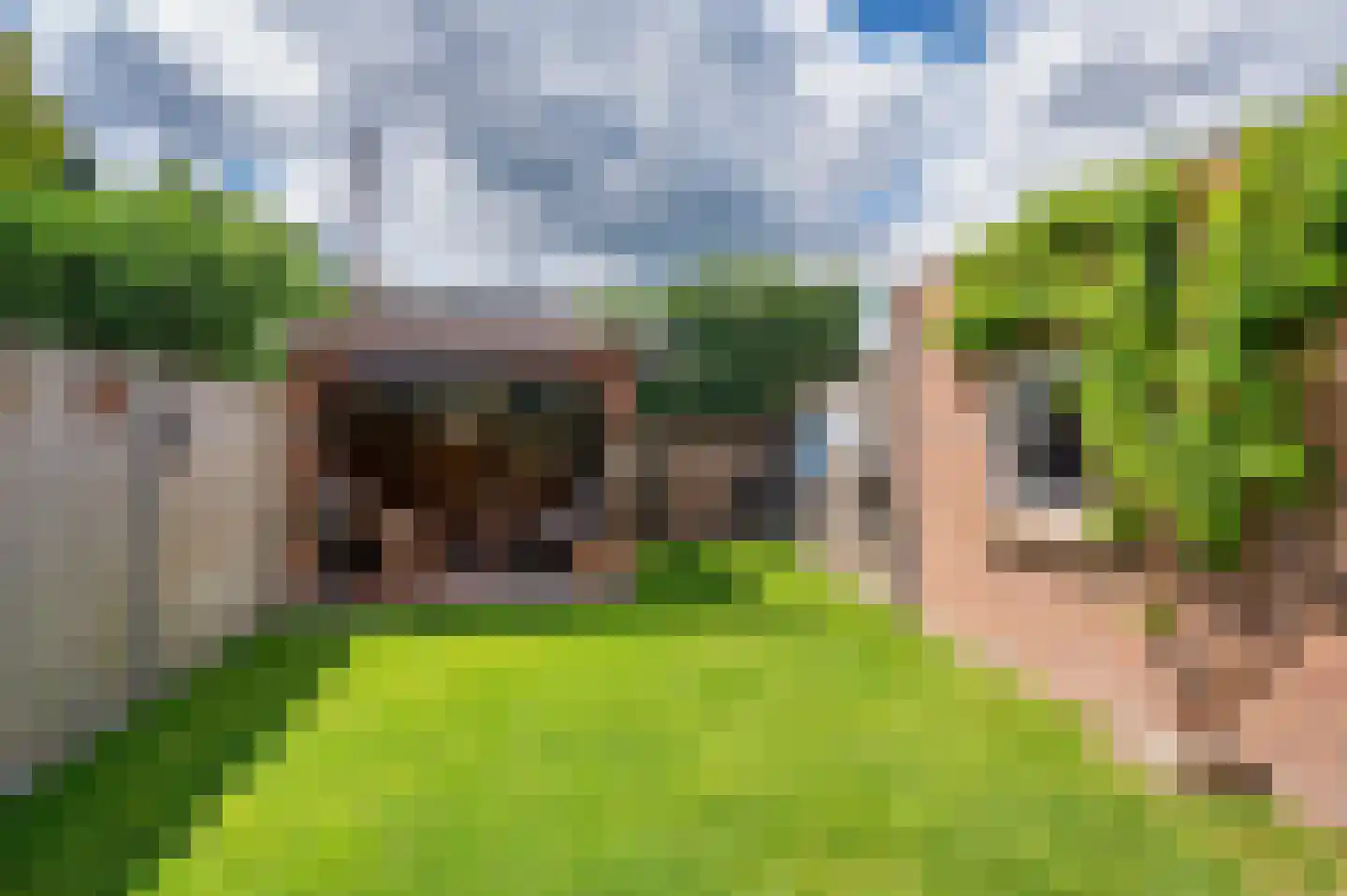Prinses Christinalaan 7 Reuver thumbnail 40