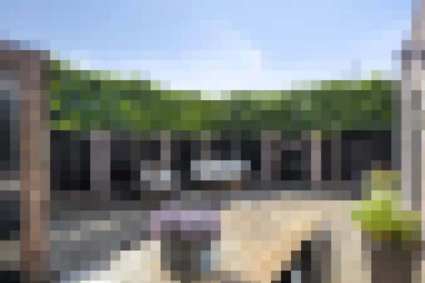 Prinses Christinastraat 1 Tholen thumbnail 5