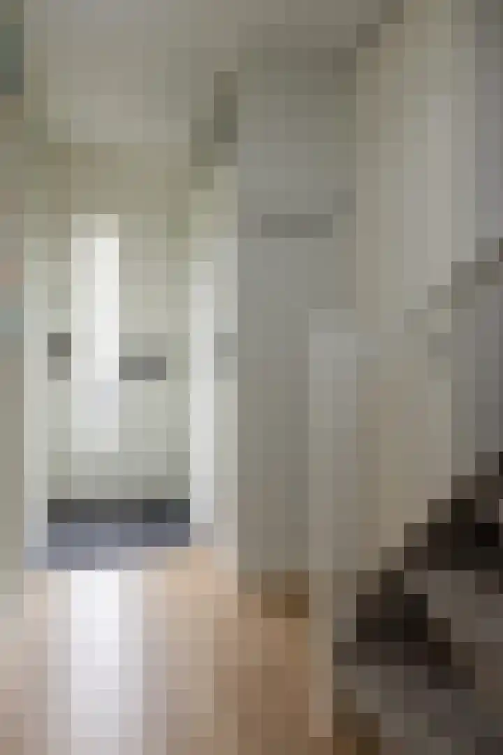 Prinses Christinastraat 11 Nunspeet thumbnail 11
