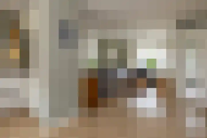 Prinses Christinastraat 11 Nunspeet thumbnail 14