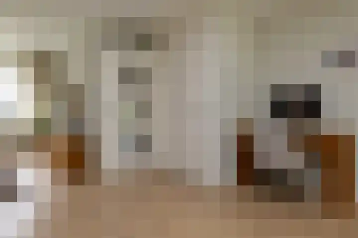 Prinses Christinastraat 11 Nunspeet thumbnail 15