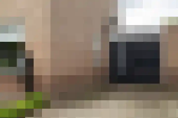 Prinses Christinastraat 11 Nunspeet thumbnail 5