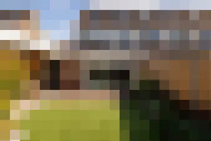 Prinses Christinastraat 11 Nunspeet thumbnail 6