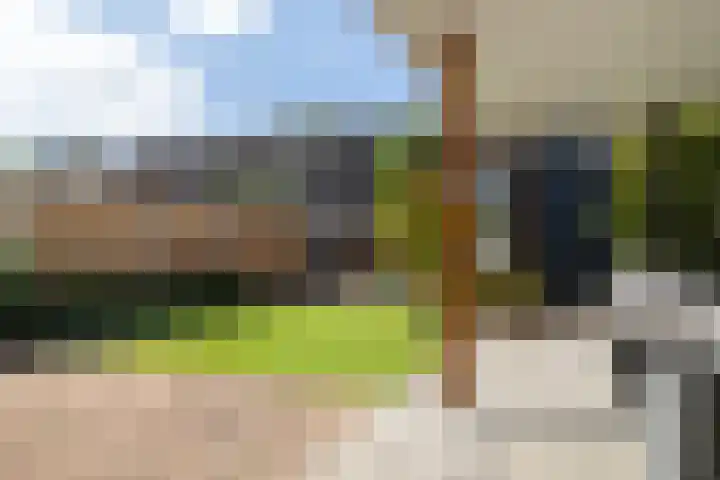 Prinses Christinastraat 11 Nunspeet thumbnail 9