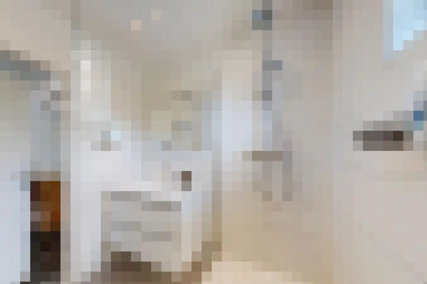 Prinses Christinastraat 13 Fijnaart thumbnail 26