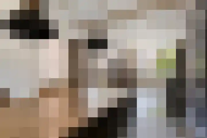 Prinses Christinastraat 15 Silvolde thumbnail 12