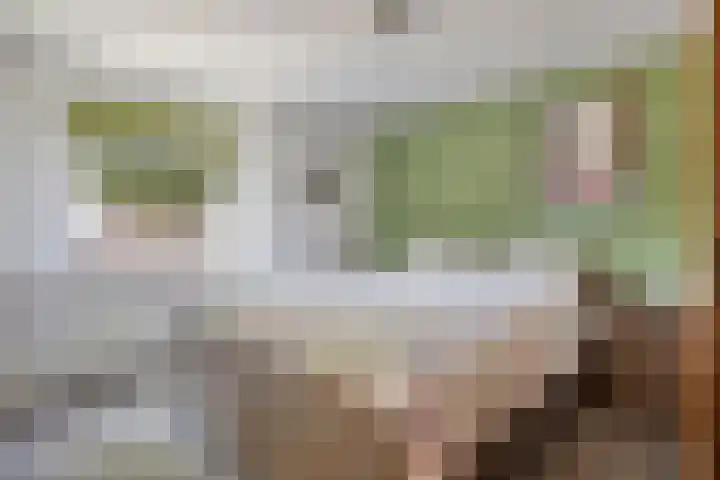 Prinses Christinastraat 15 Silvolde thumbnail 16