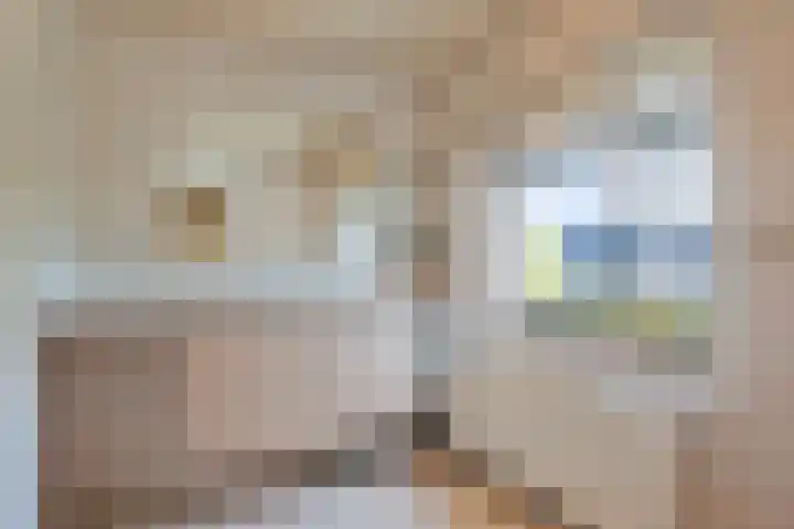 Prinses Christinastraat 15 Silvolde thumbnail 18