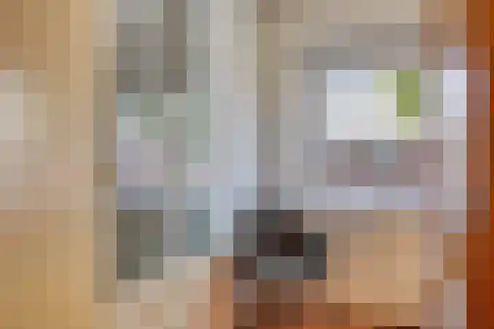 Prinses Christinastraat 15 Silvolde thumbnail 21