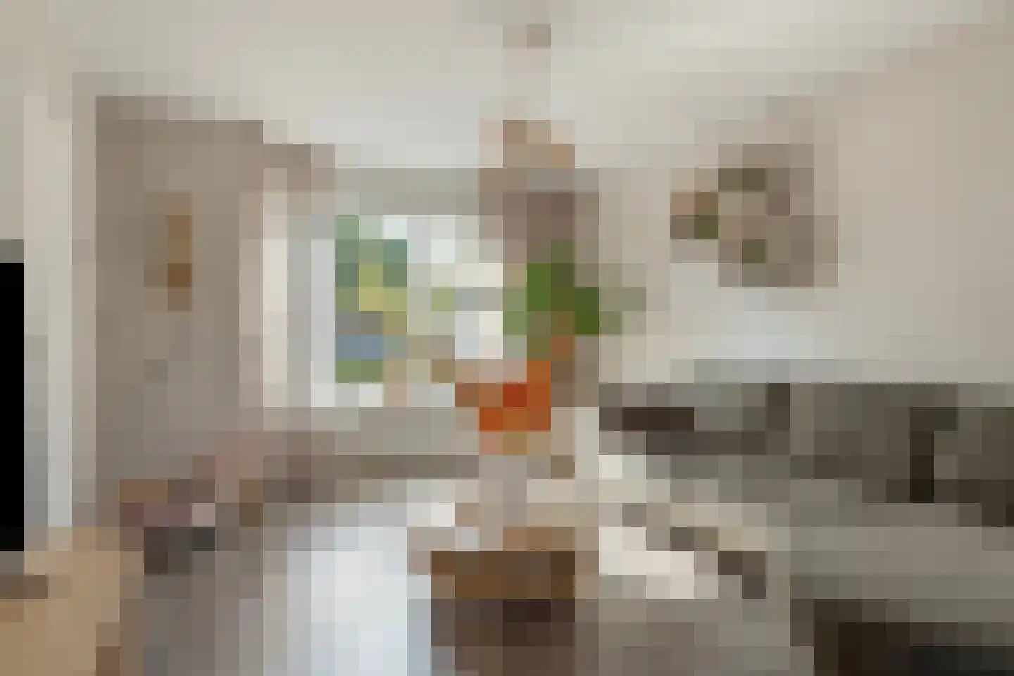 Prinses Christinastraat 16 Nieuwdorp thumbnail 11