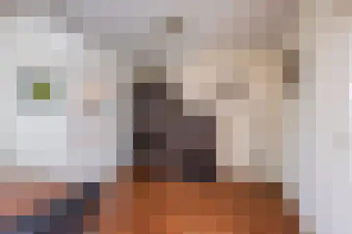 Prinses Christinastraat 16 Wehl thumbnail 14