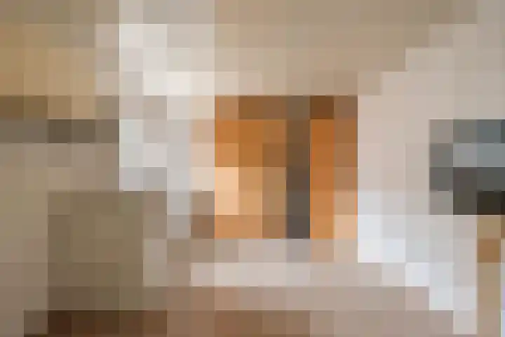 Prinses Christinastraat 16 Wehl thumbnail 17