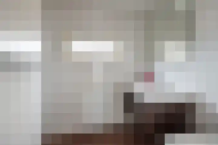 Prinses Christinastraat 16 Wehl thumbnail 22
