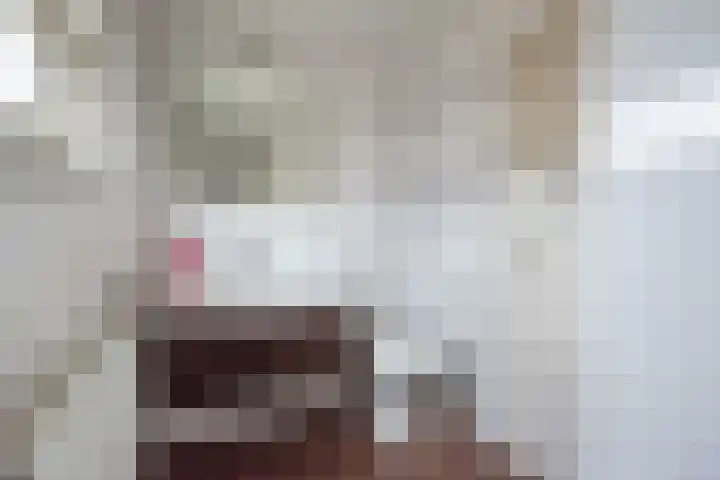 Prinses Christinastraat 16 Wehl thumbnail 24