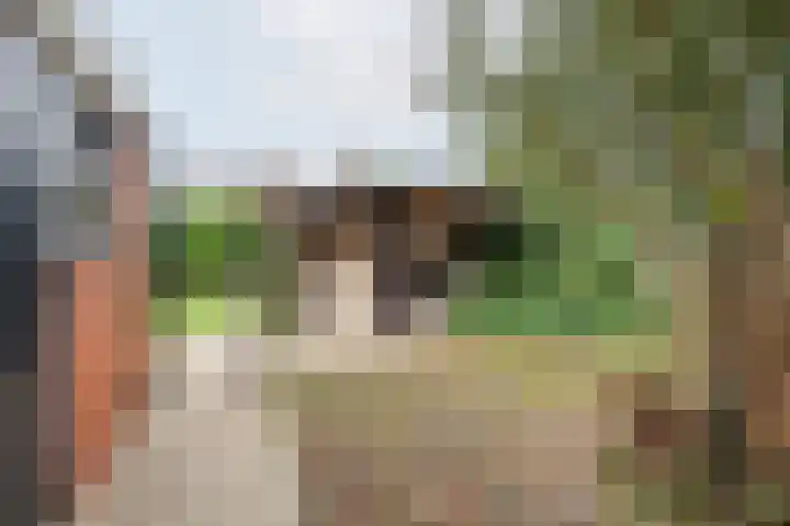 Prinses Christinastraat 16 Wehl thumbnail 33