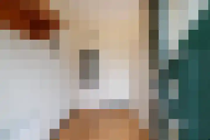 Prinses Christinastraat 16 Wehl thumbnail 7