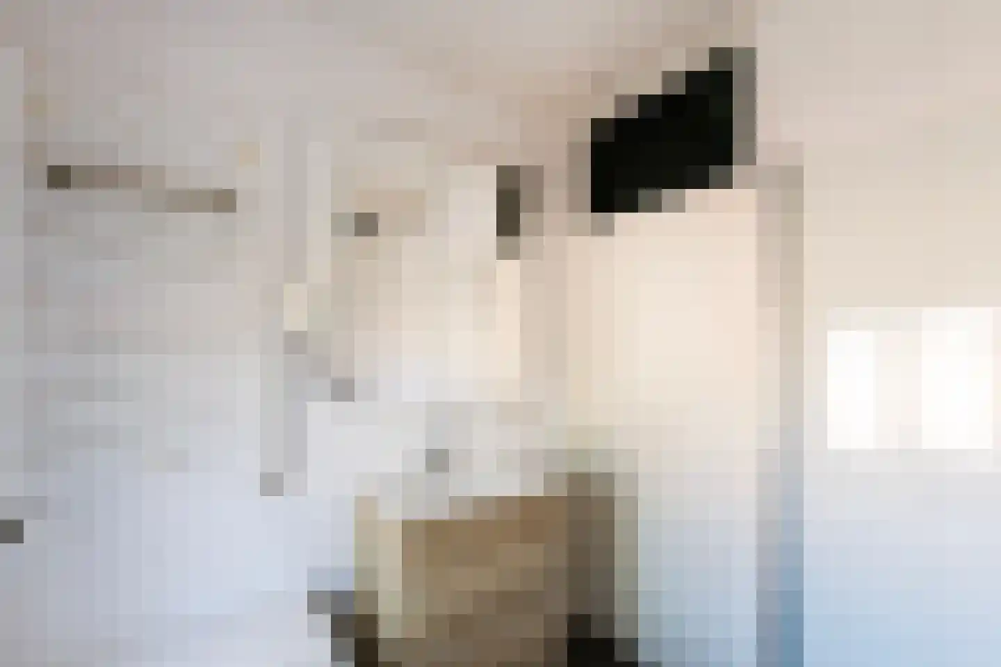 Prinses Christinastraat 19 Wehl thumbnail 25