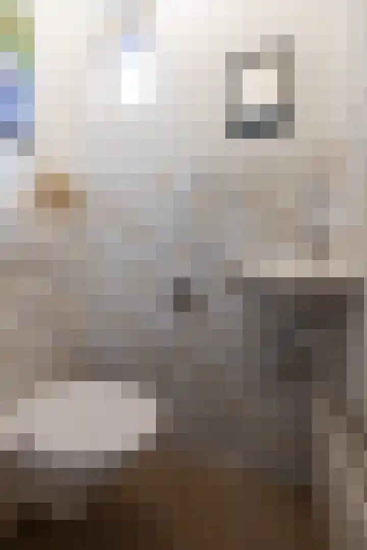 Prinses Christinastraat 2 Gaanderen thumbnail 11