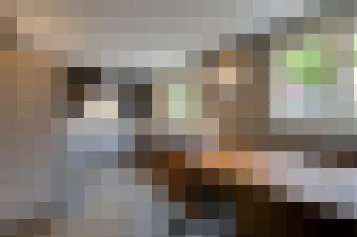 Prinses Christinastraat 2 Gaanderen thumbnail 22