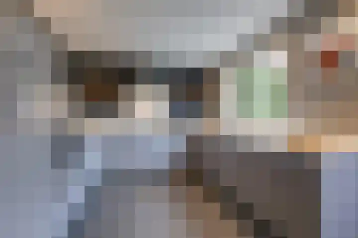Prinses Christinastraat 2 Gaanderen thumbnail 23