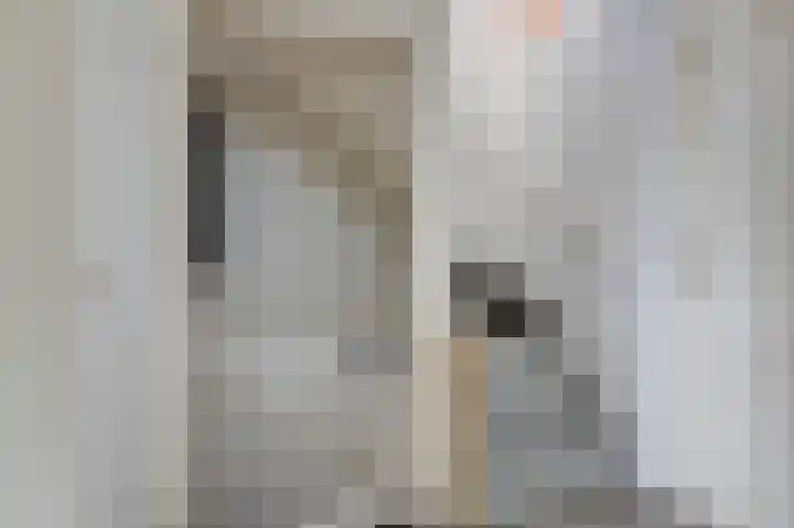 Prinses Christinastraat 2 Gaanderen thumbnail 35