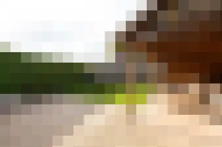 Prinses Christinastraat 2 Gaanderen thumbnail 54