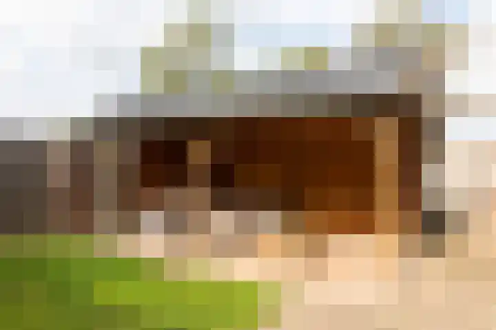 Prinses Christinastraat 2 Gaanderen thumbnail 55