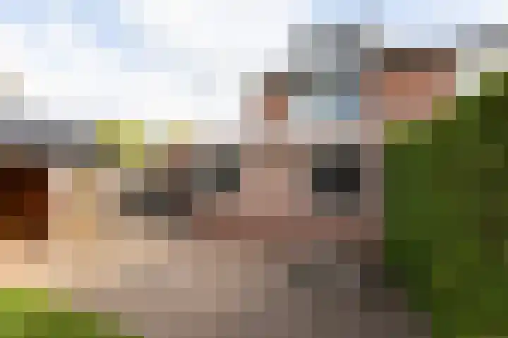 Prinses Christinastraat 2 Gaanderen thumbnail 57