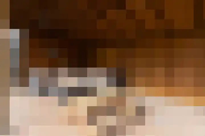 Prinses Christinastraat 2 Gaanderen thumbnail 58
