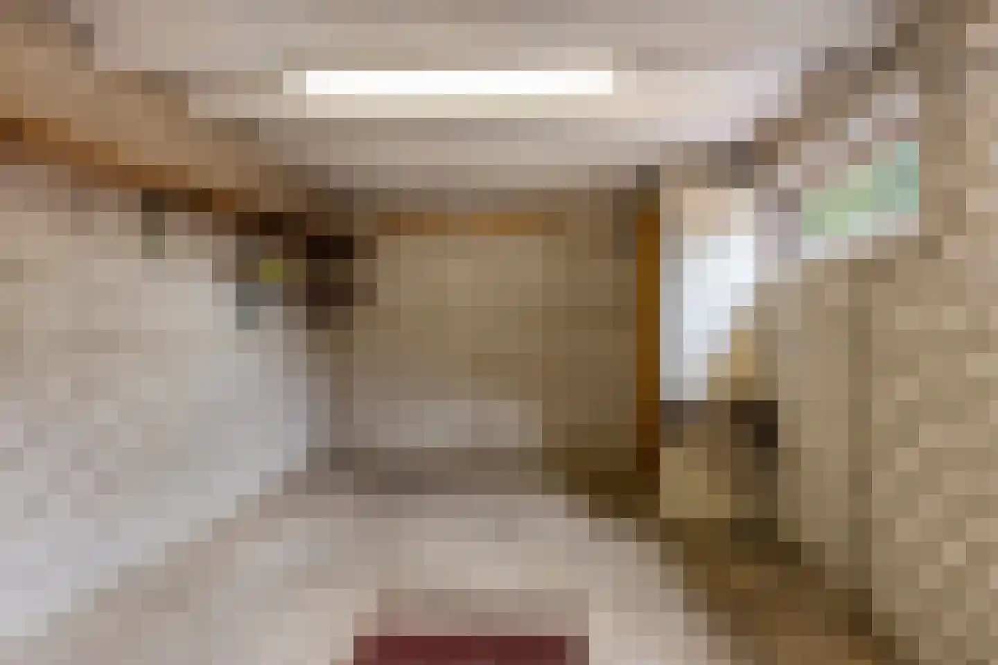 Prinses Christinastraat 21 Silvolde thumbnail 25