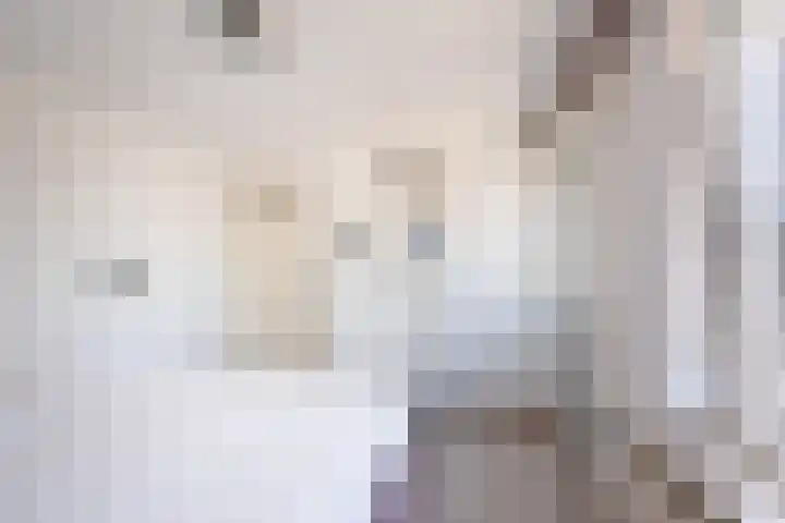 Prinses Christinastraat 22 Silvolde thumbnail 24