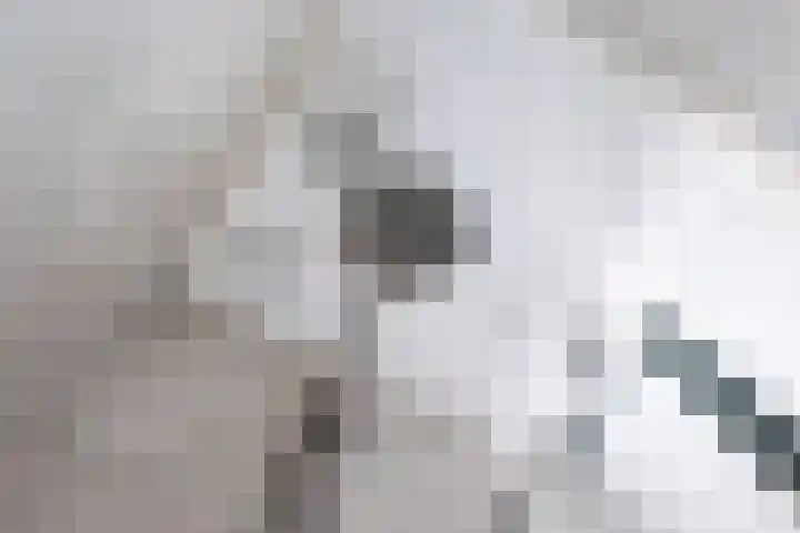 Prinses Christinastraat 22 Silvolde thumbnail 27