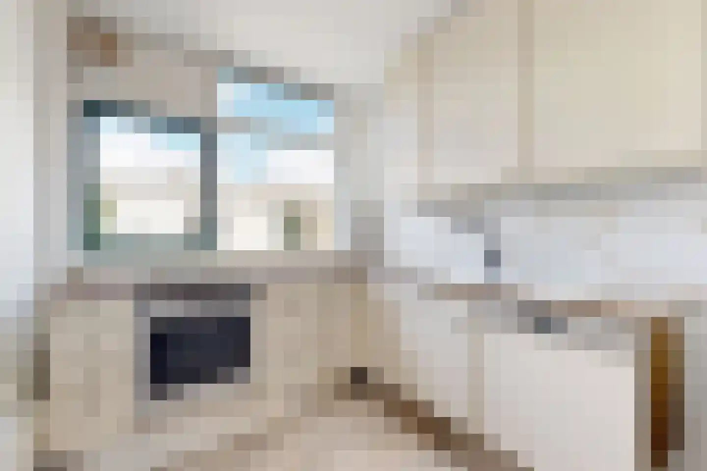 Prinses Christinastraat 30 Fijnaart thumbnail 14