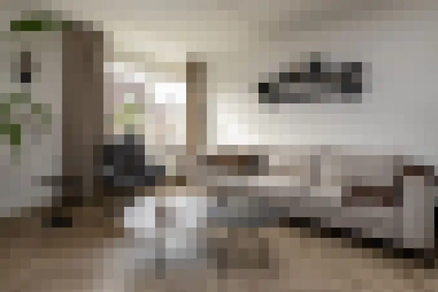 Prinses Christinastraat 37 Nunspeet thumbnail 12