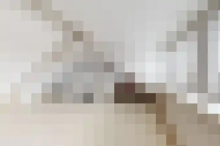 Prinses Christinastraat 39 Willemstad thumbnail 33