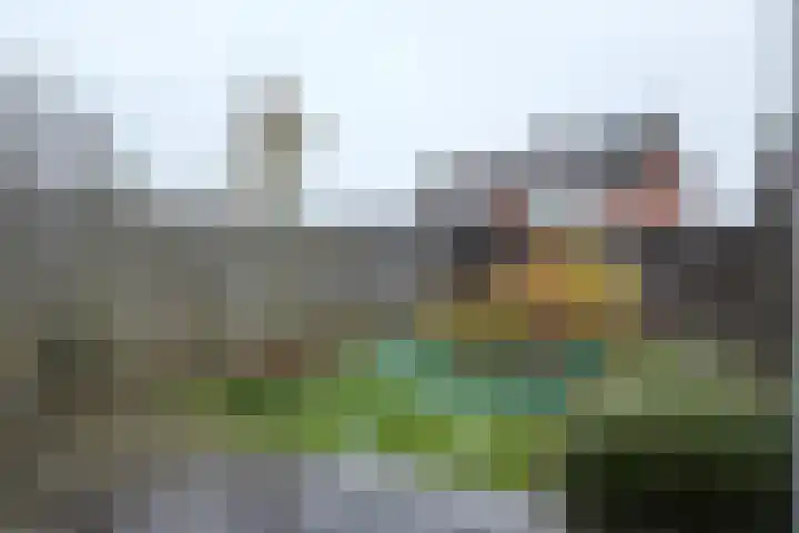 Prinses Christinastraat 39 Willemstad thumbnail 40