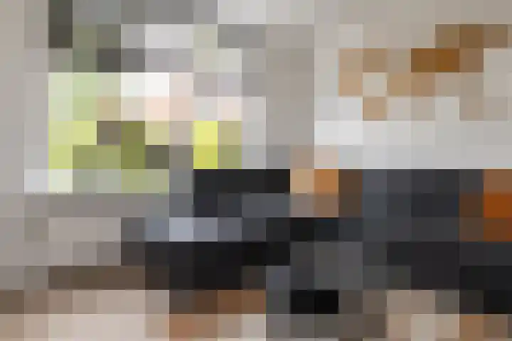 Prinses Christinastraat 46 Nunspeet thumbnail 12