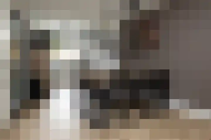 Prinses Christinastraat 46 Nunspeet thumbnail 15