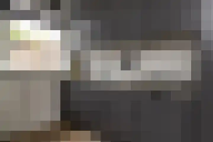 Prinses Christinastraat 46 Nunspeet thumbnail 17
