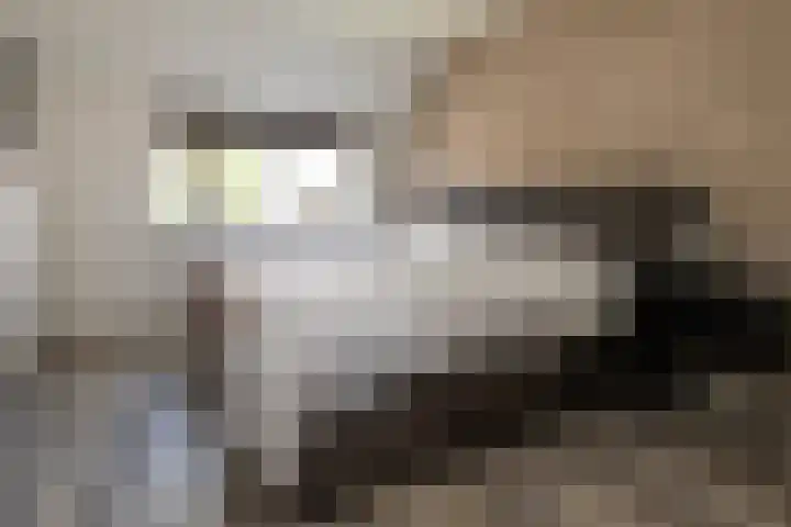 Prinses Christinastraat 46 Nunspeet thumbnail 23