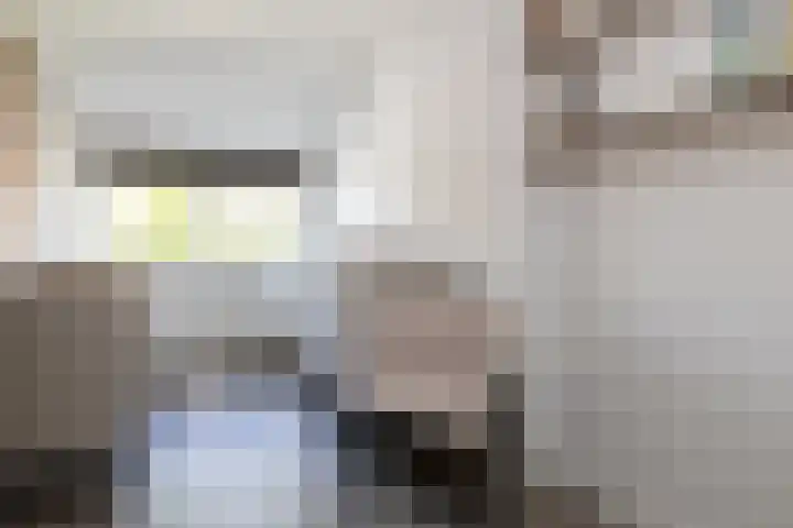 Prinses Christinastraat 46 Nunspeet thumbnail 25