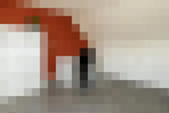 Prinses Christinastraat 46 Nunspeet thumbnail 36